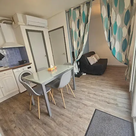 Jewel Of Barcares, With Air Conditioning And A Terrace For 4 شقة